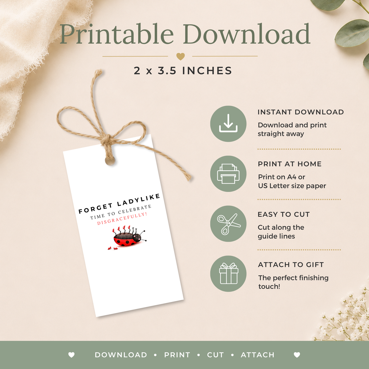 Ladybird Printable Birthday Gift Tag