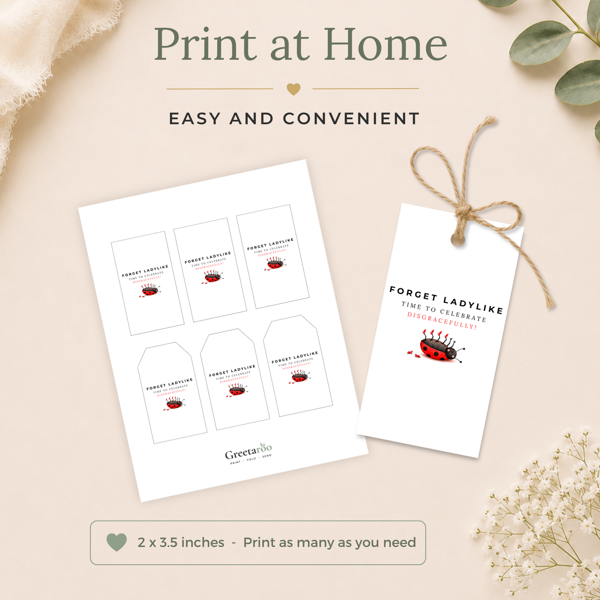 Ladybird Printable Birthday Gift Tag